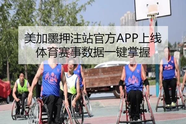 美加墨押注站官方APP上线 体育赛事数据一键掌握